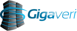 Gigaveri İletişim Hizmetleri A.Ş. 2026 Logo